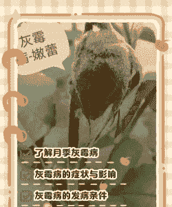 母猪产后流血水咋办