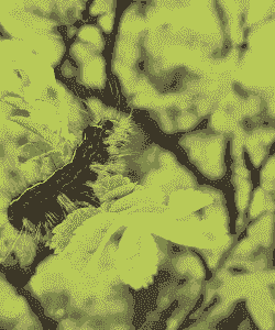 母猪便秘产后怎么处理