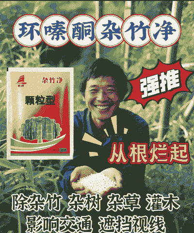 母猪产后打针打多久