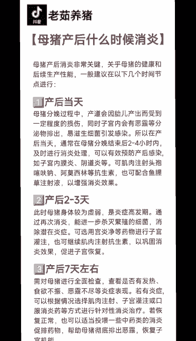 母猪产后消炎打几天