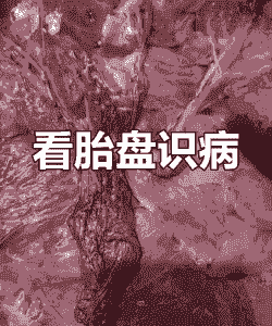 母猪产后胎盘出不来