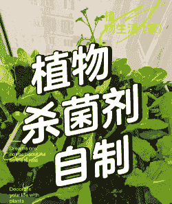 母猪产后后躯无力