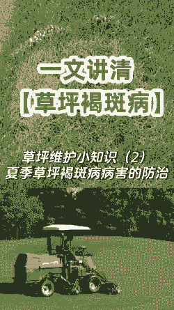 母猪产后消炎头孢几克