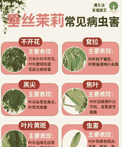 母猪产后多久能吃奶