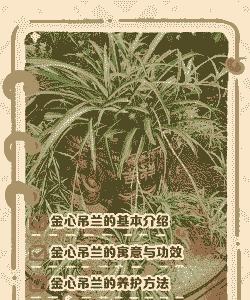 母猪难产后恶露不尽