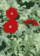 母猪产后死胎的表现