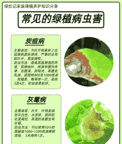 母猪产后发炎流白