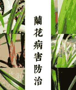 母猪生产后补贴