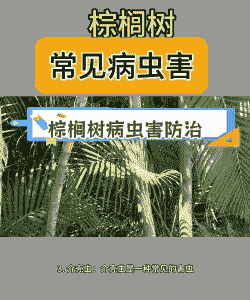 母猪产后多久掉胎盘