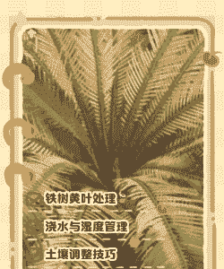 母猪怎么打产后消炎