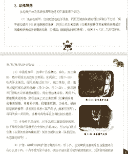 母猪产后发抖咋回事