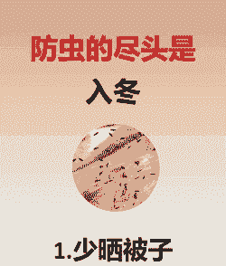 母猪产后打黄芪多糖