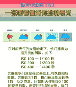 什么是母猪产后流血