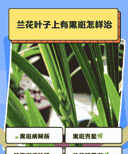 母猪产后便秘治疗办法