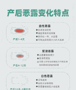 母猪产后恶露排几天