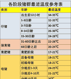 母猪生产后的体温