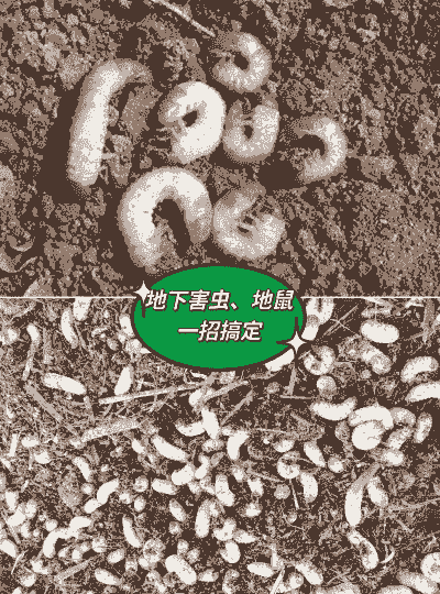 母猪流产后胎衣不下