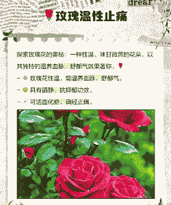 母猪产后能用磺胺吗