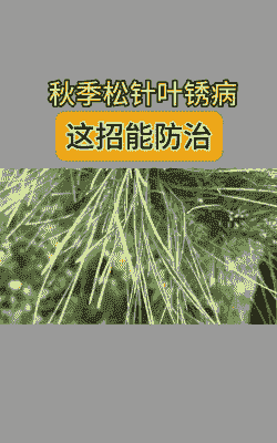 母猪产后喂食的标准