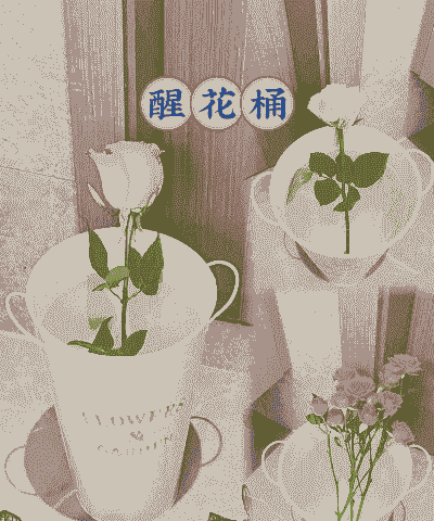 铁皮桶可以养花