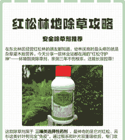 母猪产后怎样防死亡