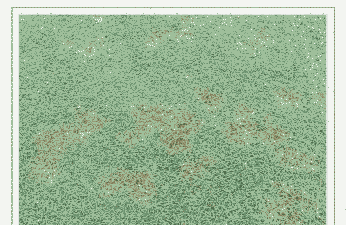 母猪产后是多少温度