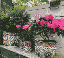 水养花盆美式 水养花盆美式