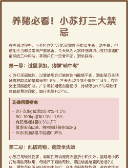 母猪产后小苏打用量