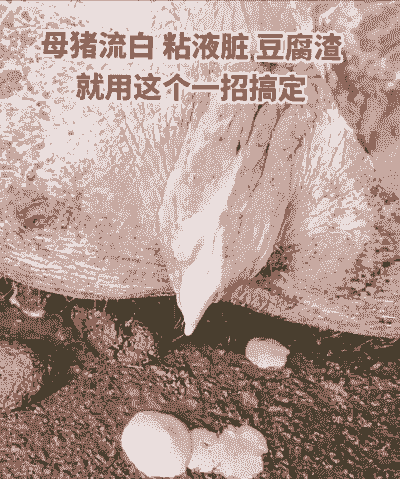 母猪产后肤色发白不吃