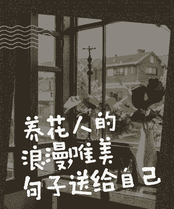 养花人家文案短句