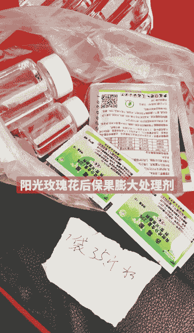 养花玫瑰膨大剂 养花玫瑰膨大剂