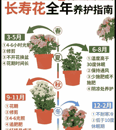 男人养花的经验