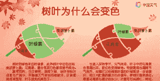 母猪产后气喘怎么处理