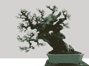 母猪产后掉毛脱皮