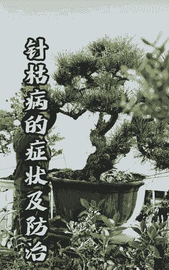 母猪产后如何补充营养