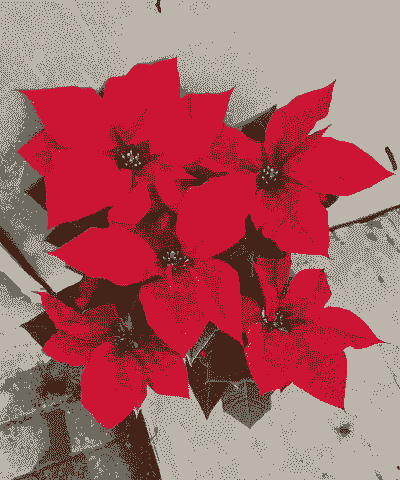 母猪产后消炎中药秘方