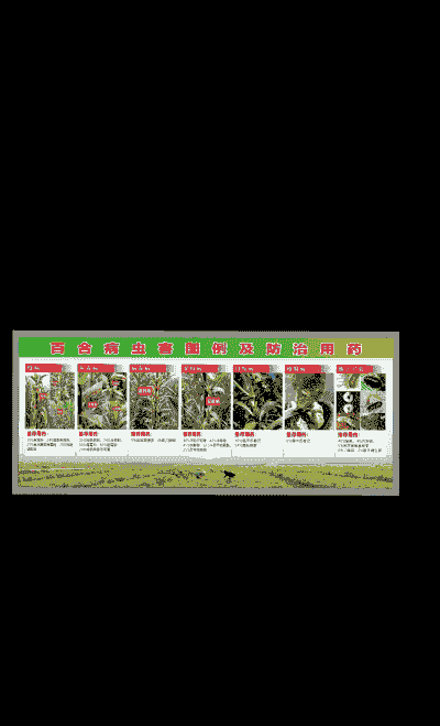 母猪产后能吃豆渣吗