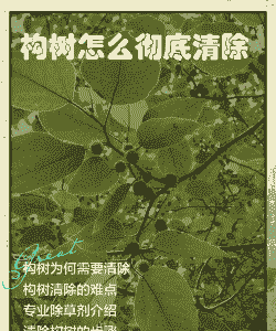 母猪产后怎么输液配药