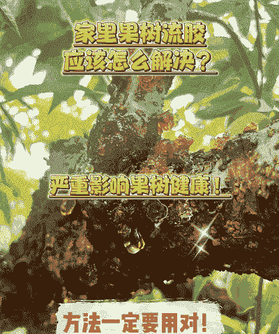 母猪产后几时喂奶