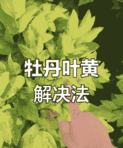 母猪产后怎样快速驱虫