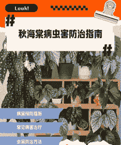 母猪产后多久不吃料