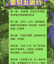 母猪产后都需要清宫