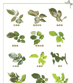 母猪产后要输液吗