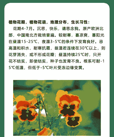 母猪产后不吃皮肤发白