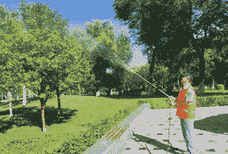 母猪产后大便多久出来