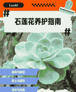 母猪产后注射注意什么