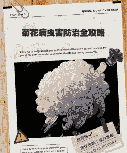 老母猪产后感冒