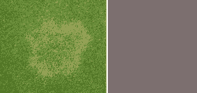 母猪产后用什么针