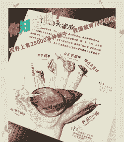 母猪产后乱拉粪便