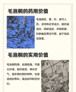 母猪产后打针多久有效